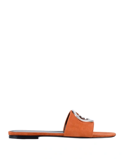 Shop Proenza Schouler Sandals In Brown
