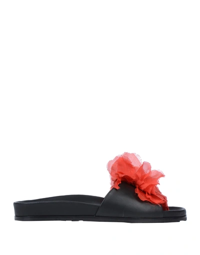 Shop Alexander Mcqueen Sandals In Black