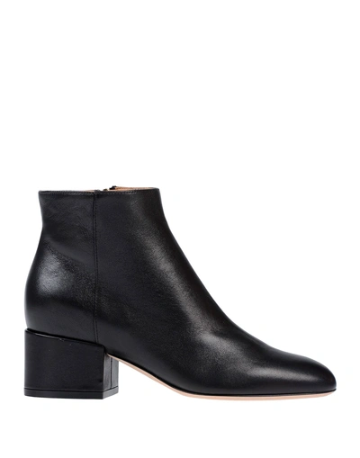 Shop Sergio Rossi Ankle Boots In Black