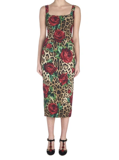 Shop Dolce & Gabbana Animal Print Dress In Multi