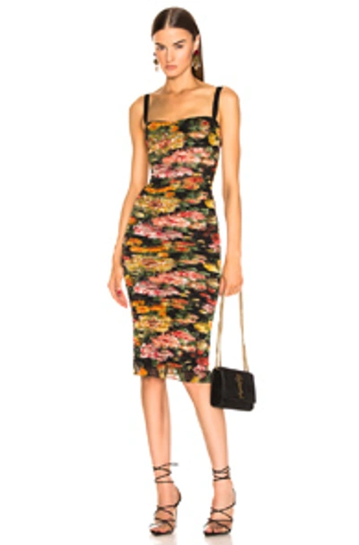 Shop Dolce & Gabbana Multi Floral Print Tulle Tubino Dress In Black,floral,red