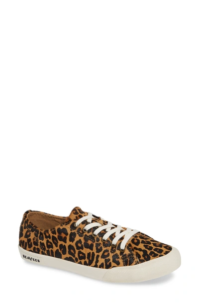 Shop Seavees Monterey Sneaker In Leopard Print Calf Hair