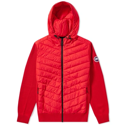 Shop Canada Goose Hybridge Knit Hoody In Red