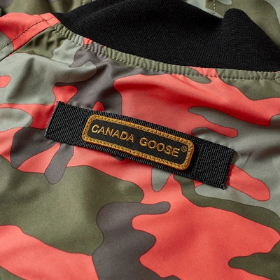 Shop Canada Goose Faber Bomber In Green