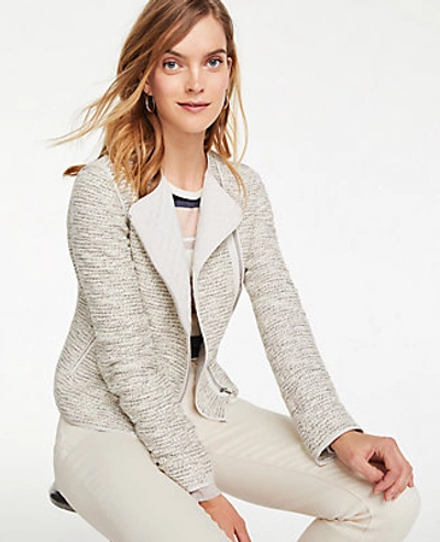 Shop Ann Taylor Quilted Tweed Moto Jacket In Shadow Beige