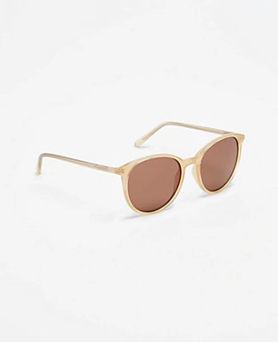 Shop Ann Taylor Spring Round Sunglasses In Neutrals