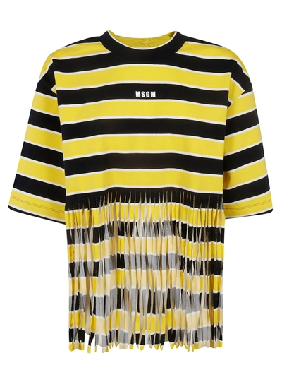 Shop Msgm Shredded Striped T-shirt In Multicolor