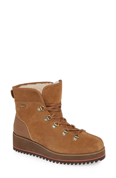 Shop Ugg Birch Waterproof Lace-up Winter Bootie In Chestnut