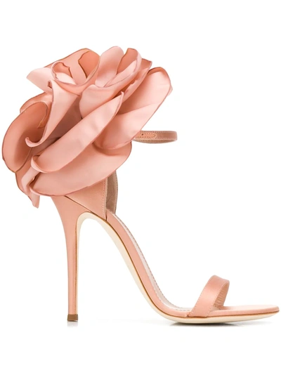 Shop Giuseppe Zanotti Peony Sandals - Pink