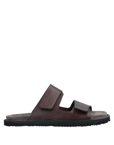 Shop Buttero Sandals In Brown