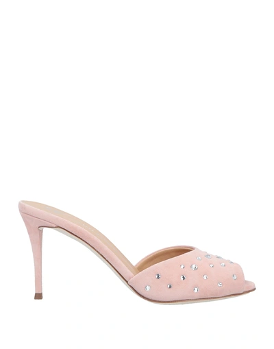 Shop Giuseppe Zanotti Sandals In Light Pink