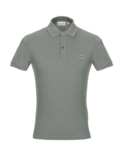 Shop Lacoste Polo Shirts In Military Green