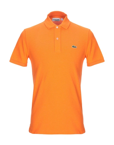 Shop Lacoste Polo Shirts In Orange