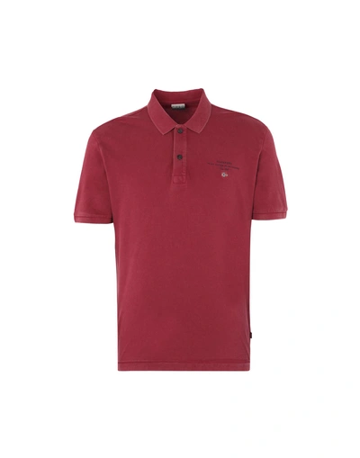Shop Napapijri Elbas 2 Man Polo Shirt Burgundy Size S Cotton In Red