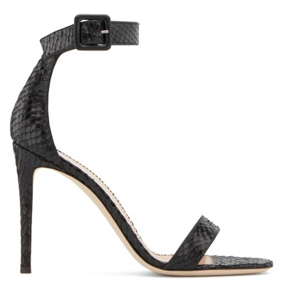 Shop Giuseppe Zanotti Neyla In Black