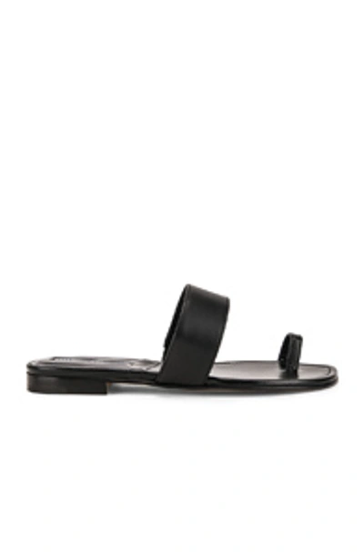 Shop Manolo Blahnik Messen Sandal In Black In Black Calf