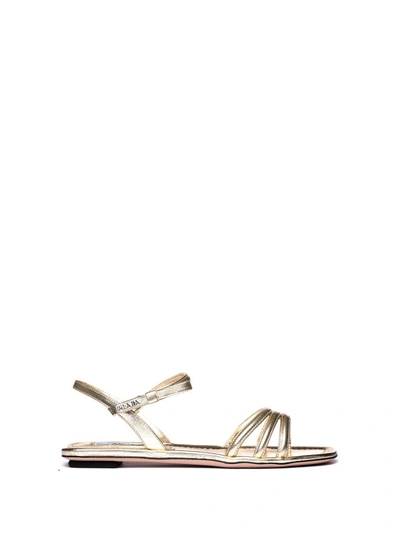 Shop Prada Flat Sandals In Platino