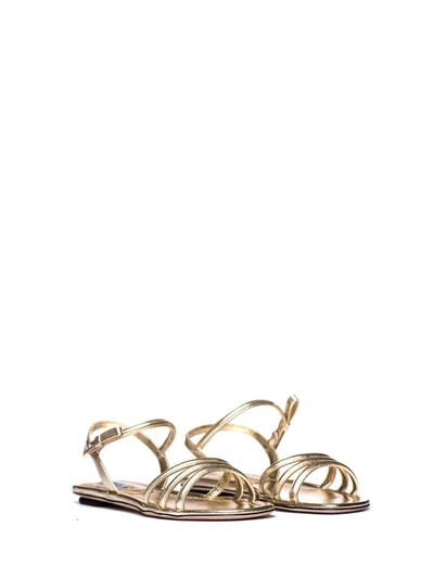 Shop Prada Flat Sandals In Platino