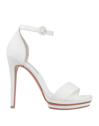 Shop Albano Sandals In White