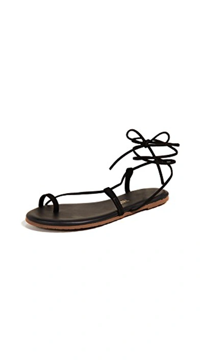 Shop Tkees Jo Lace Up Sandals Bleeker / Black