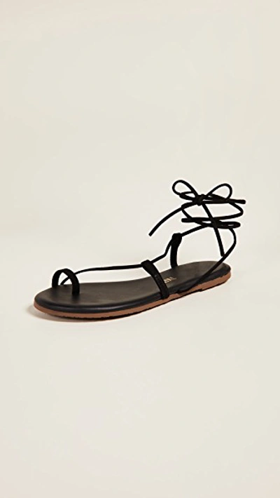 Shop Tkees Jo Lace Up Sandals Bleeker / Black