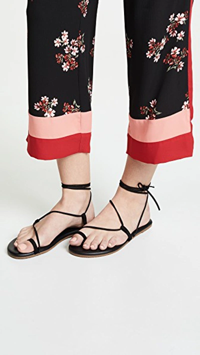 Shop Tkees Jo Lace Up Sandals Bleeker / Black