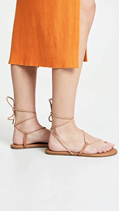 Tkees Jo Leather Lace-up Sandals In Hazelton