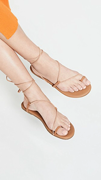 Tkees Jo Leather Lace-up Sandals In Hazelton