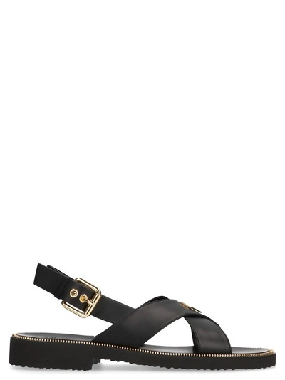 Shop Giuseppe Zanotti Design Buckle Sandals In Black