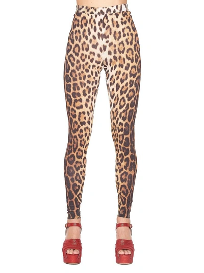 Shop Moschino Leopard Print Leggings In Multi