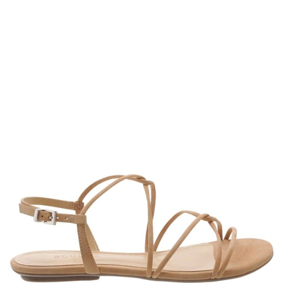 Schutz Boyet Flat Sandal In Honey Beige ModeSens