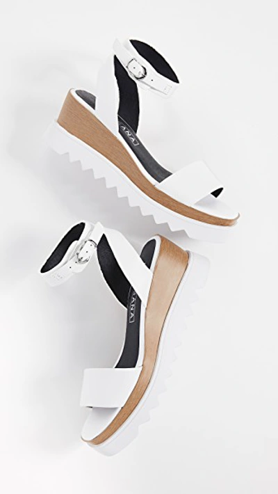 Shop Sol Sana Tray Wedge Sandals In White