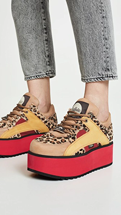 Shop Buffalo Rising Towers Sneakers In Leopard