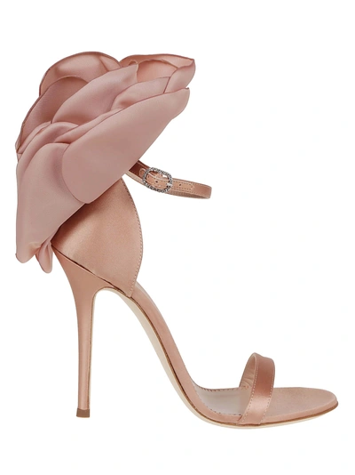 Shop Giuseppe Zanotti Peony Sandals In Salmone