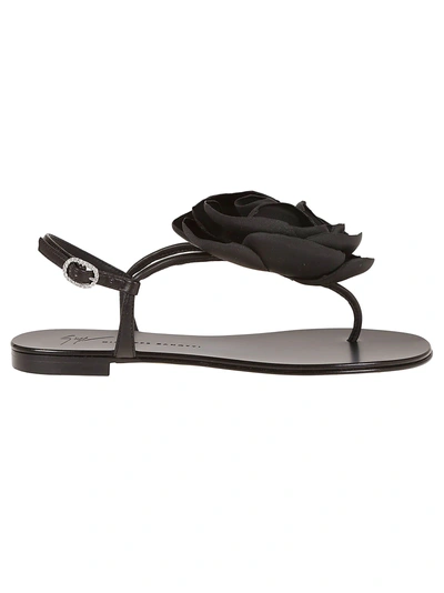 Shop Giuseppe Zanotti Flower Flat Sandals In Nero