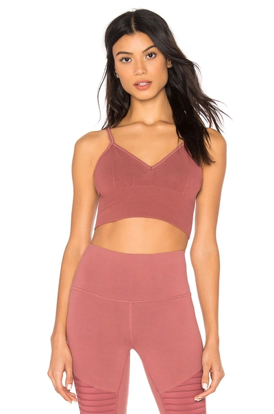 Shop Alo Yoga Seamless Delight Bralette In Rosewood