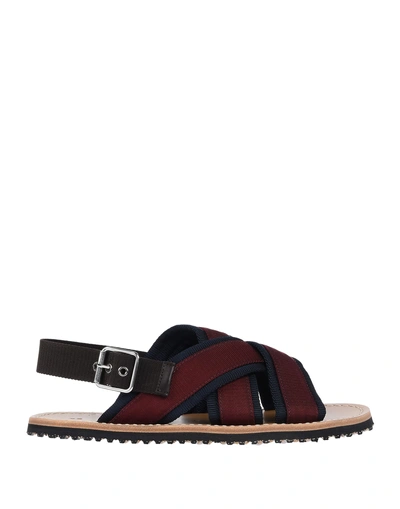 Shop Marni Sandals In Maroon