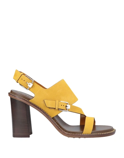 Shop Tod's Sandals In Yellow
