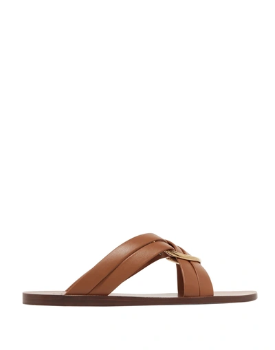 Shop Chloé Sandals In Tan