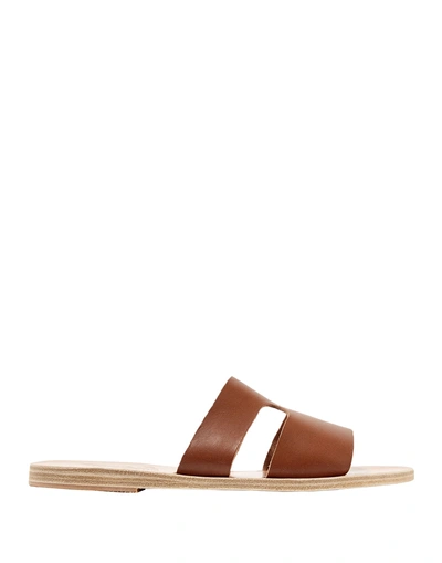 Shop Ancient Greek Sandals Sandals In Brown