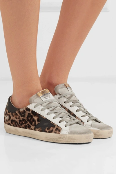 Shop Golden Goose Superstar Distressed Leopard-print Calf Hair, Leather And Suede Sneakers In Leopard Print