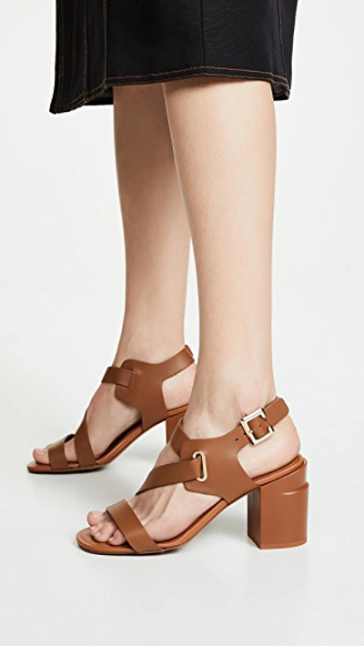 Shop Robert Clergerie Alba Sandals In Papaya