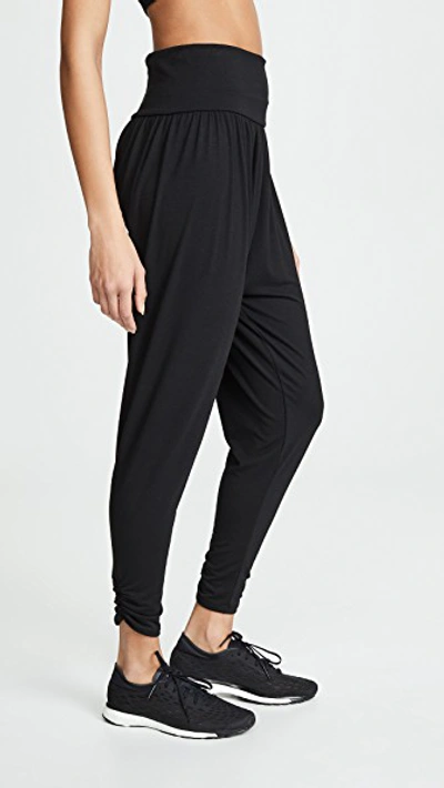 Shop Onzie Harem Pants In Black