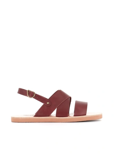 Shop Ancient Greek Sandals Sandals Mirtos In Leather