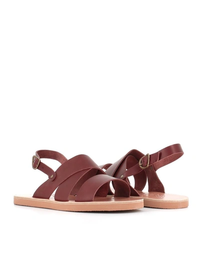 Shop Ancient Greek Sandals Sandals Mirtos In Leather