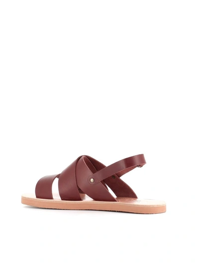 Shop Ancient Greek Sandals Sandals Mirtos In Leather