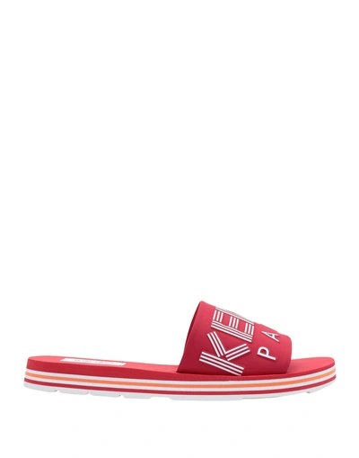 Shop Kenzo Slippers In Red