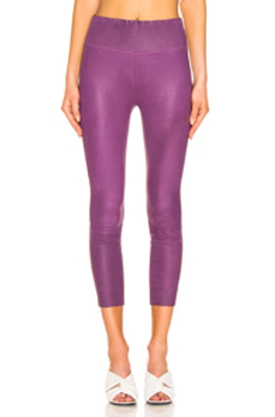 Shop Sprwmn High Waisted Legging In Magenta