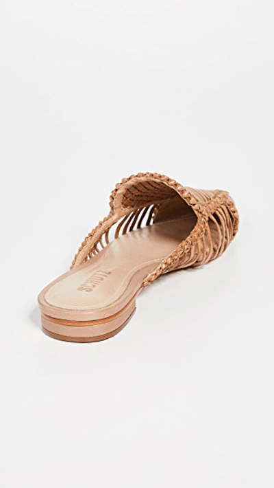 Schutz marli hotsell point toe flats