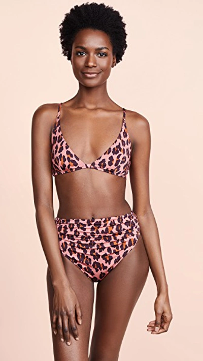 Shop Stella Mccartney Ballet Bikini Top In Leopard Print